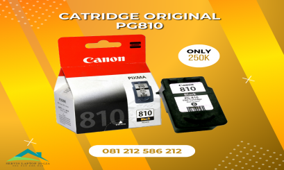 Original Canon PG 810